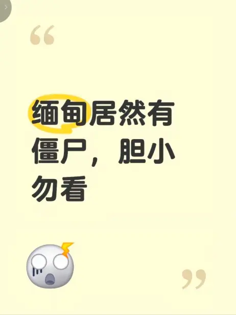《缅甸僵尸出土事件》高清无删减版在线免费播放 - 缅北僵尸出土事件真相揭秘 - 全程录像完整呈现 - 最新资源