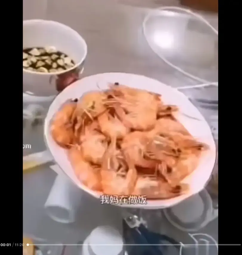 《大虾母子厨房完整版》高清视频免费在线观看 - 猎奇视频来龙去脉梗揭秘 - 网盘资源下载百度夸克迅雷