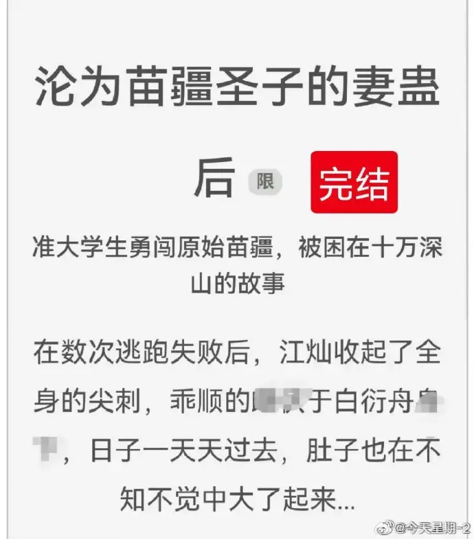 《沦为苗疆圣子的妻蛊后》全文免费阅读-狐狸雨小说txt下载-百度云完结版资源-无广告在线看